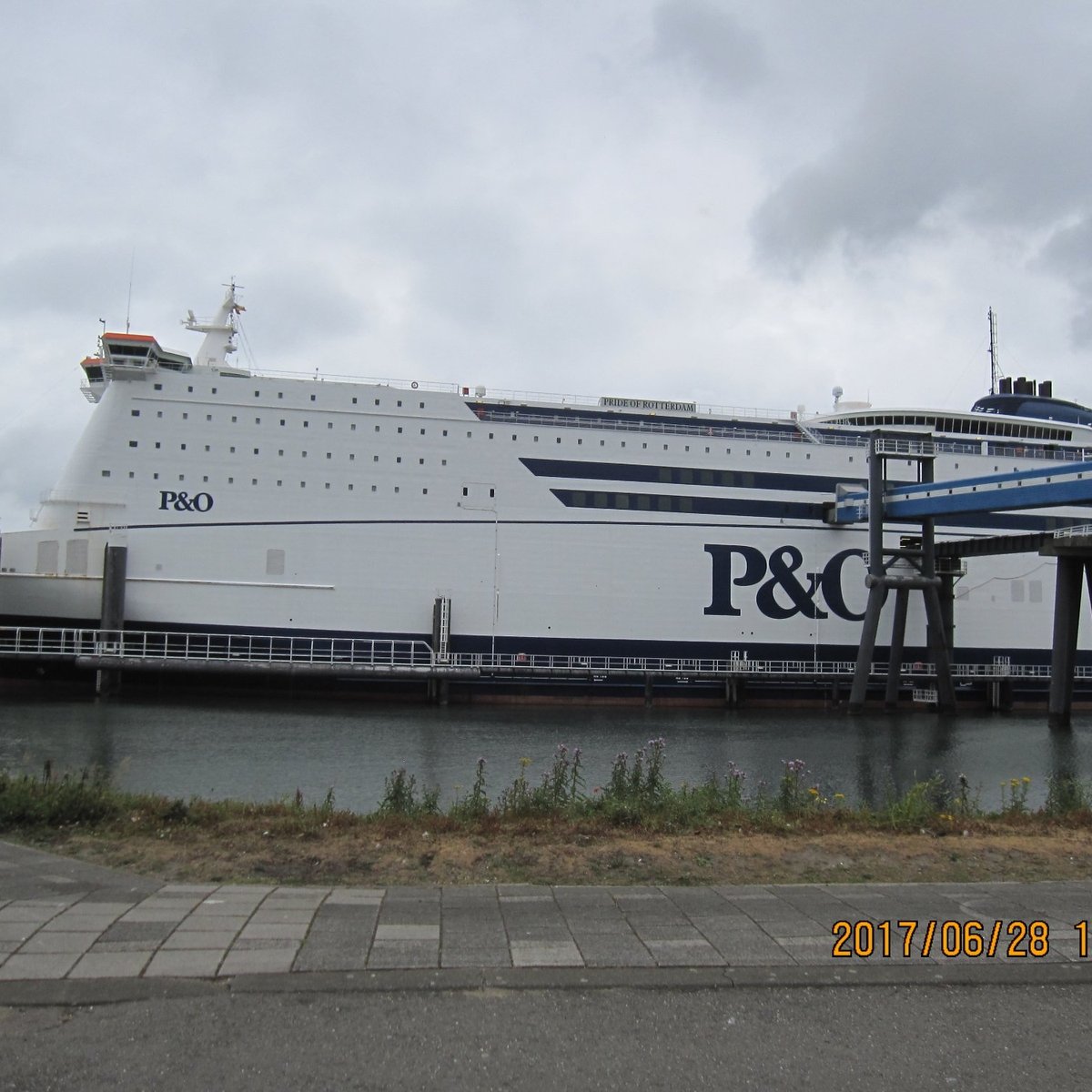 can you take dogs on p o ferries