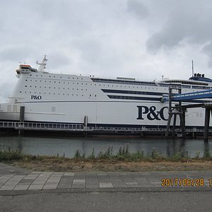 p and o cruises hull to rotterdam