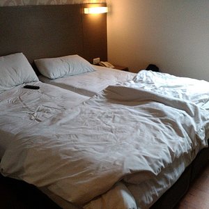 Bussiness room (twin bed)