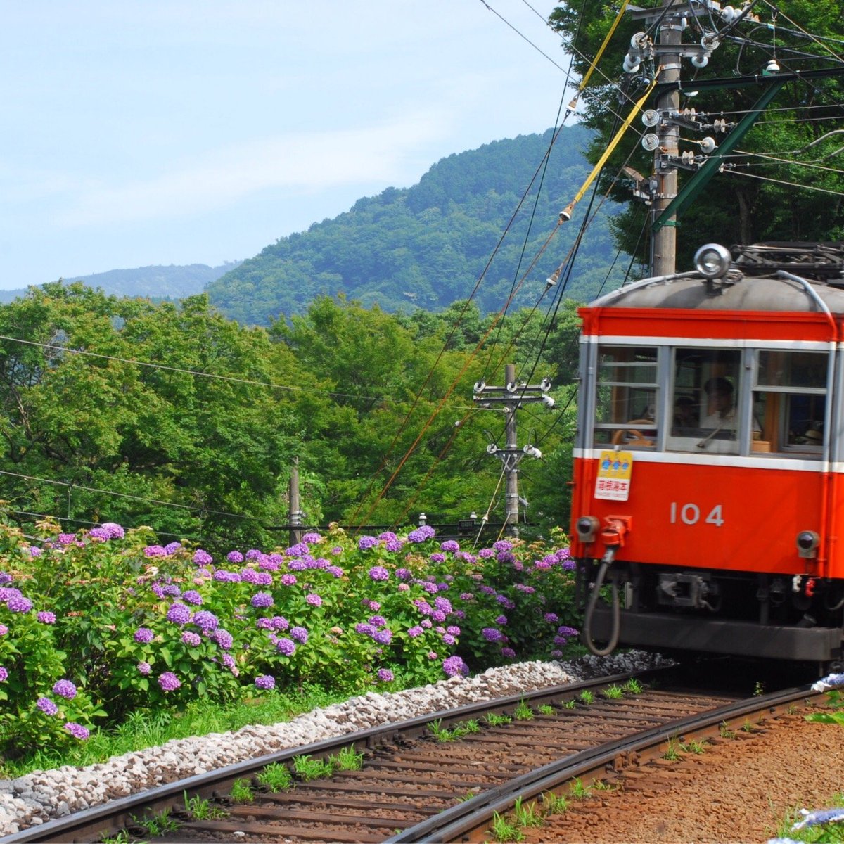 Hakone Tozan Railway, Хаконе-маки: лучшие советы перед посещением -  Tripadvisor