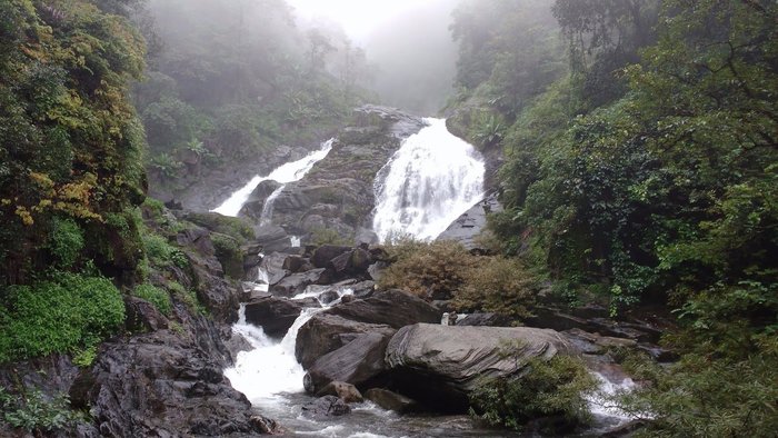 Avadale Wayanad: Bewertungen, Fotos & Preisvergleich (indien Kalpetta 