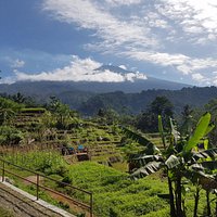 scenery