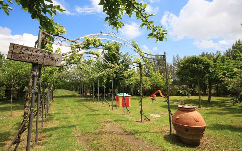 Il parco dell'agriturismo