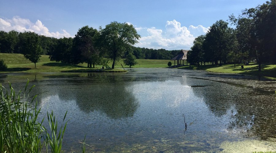 Discover Kirby Park the Gem of NEPA Outdoor Adventures