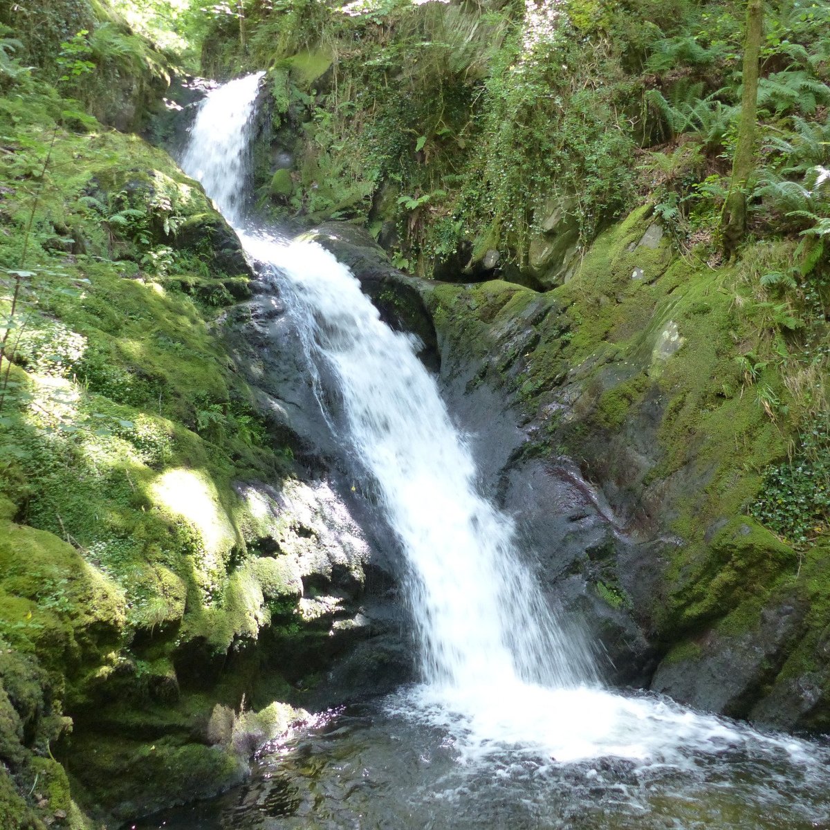 22年 Dolgoch Falls 行く前に 見どころをチェック トリップアドバイザー