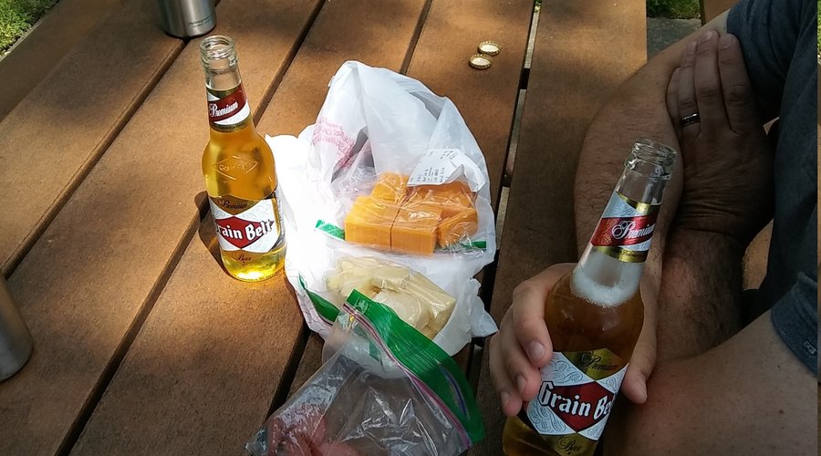 We took our cheese to the park and had a picnic.