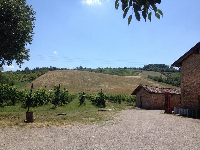 Machtigen Uitstralen Autonomie AZIENDA AGRICOLA SAN POLO - Farmhouse Reviews (Castelvetro di Modena, Italy  - Province of Modena)