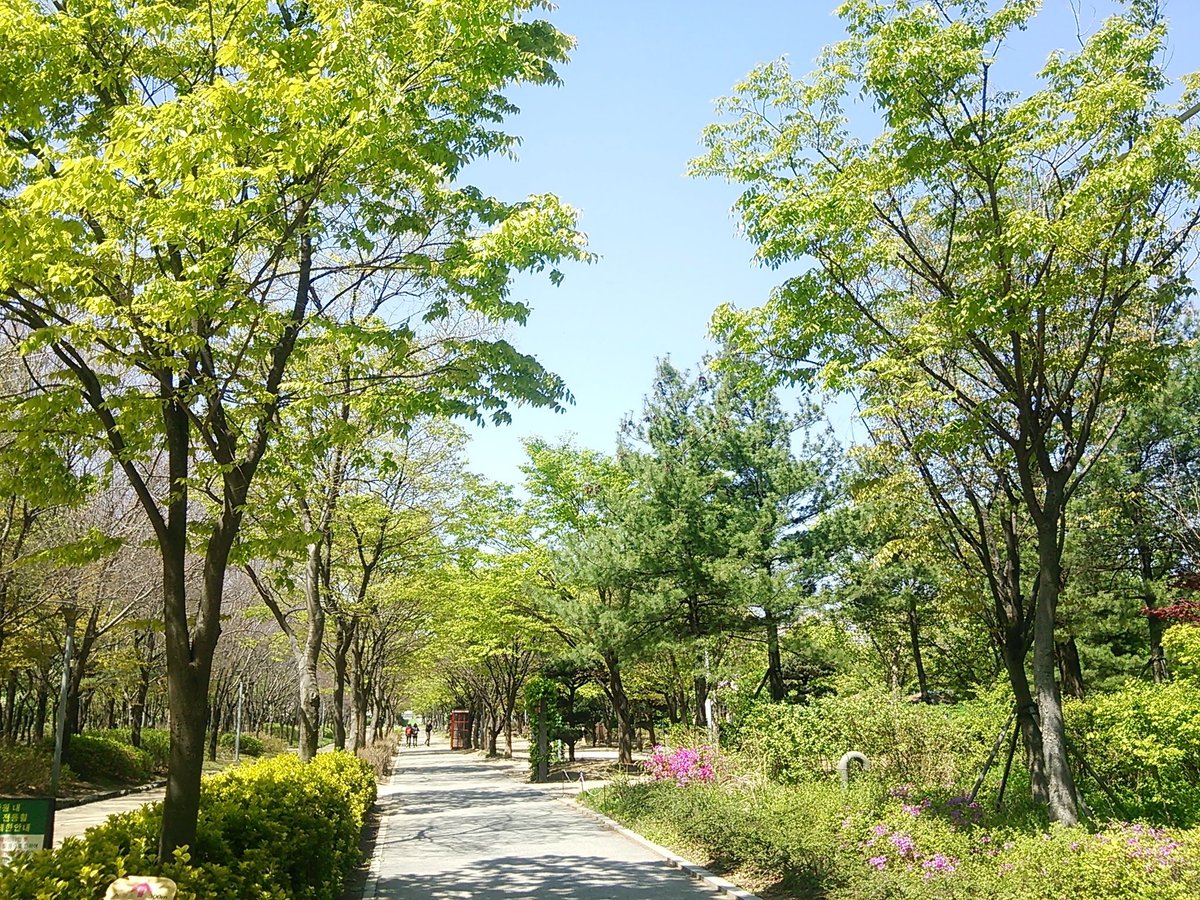 Seoul Forest (โซล, เกาหลีใต้) - รีวิว - Tripadvisor