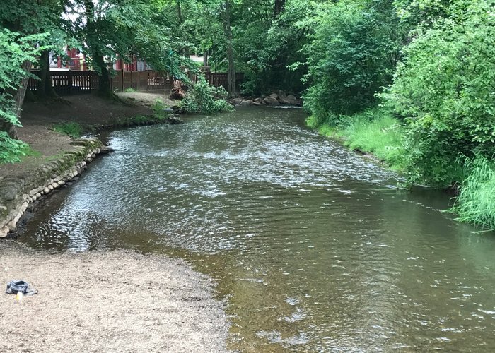 The river alongside the trail (by Lynden City Park)-6
