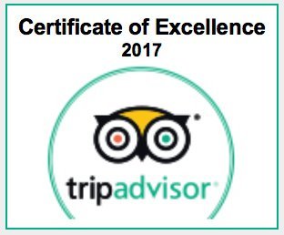 certificate of excellence 2017