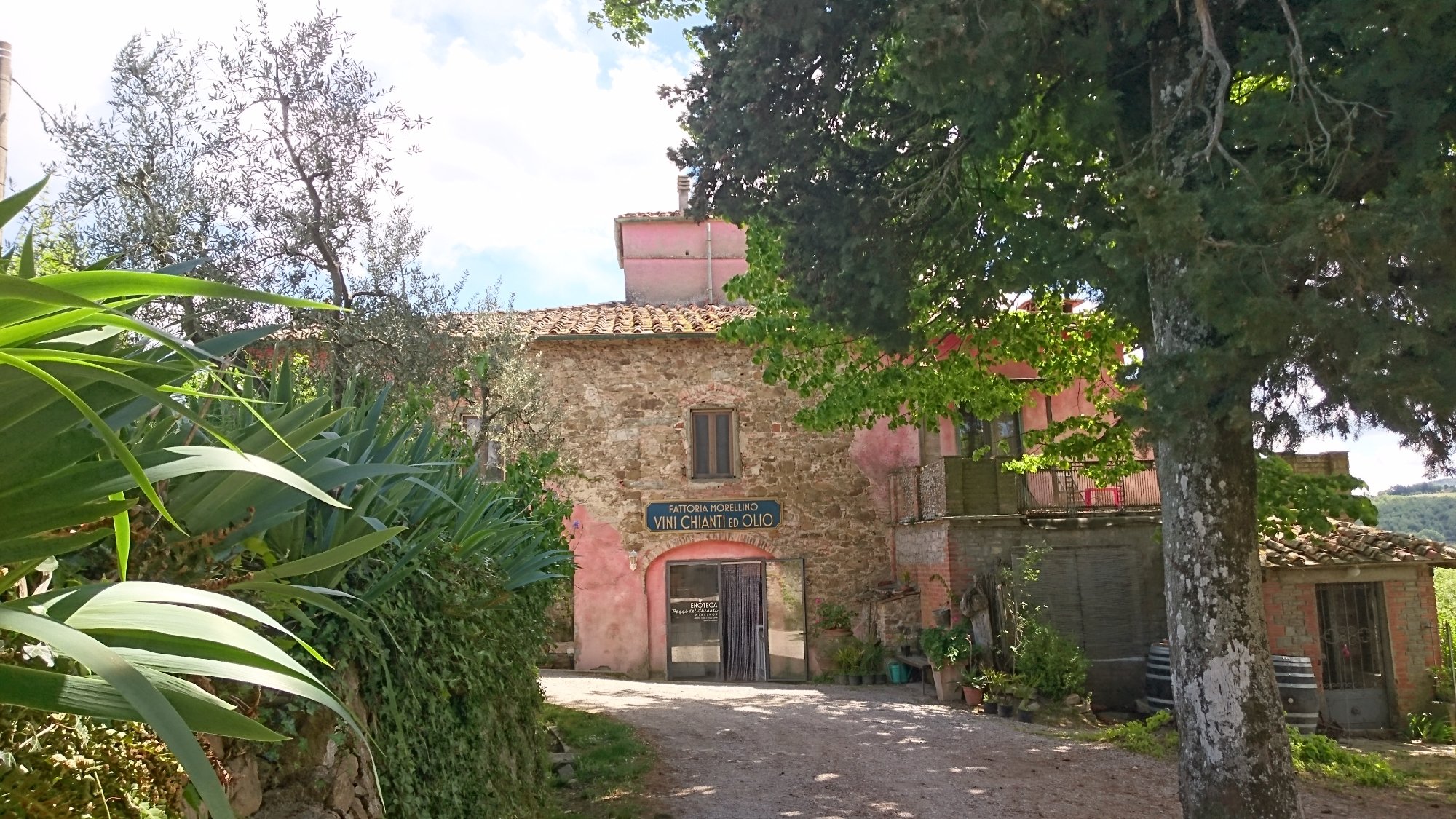 THE 10 BEST Things to Do in Cavriglia 2024 with Photos