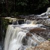 Things To Do in Maliau Basin Conservation Area, Restaurants in Maliau Basin Conservation Area