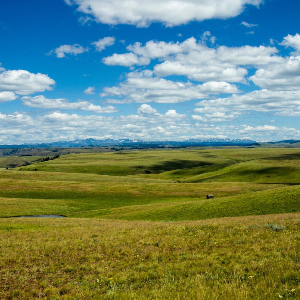 ZUMWALT PRAIRIE PRESERVE (2024) All You Need to Know BEFORE You Go ...