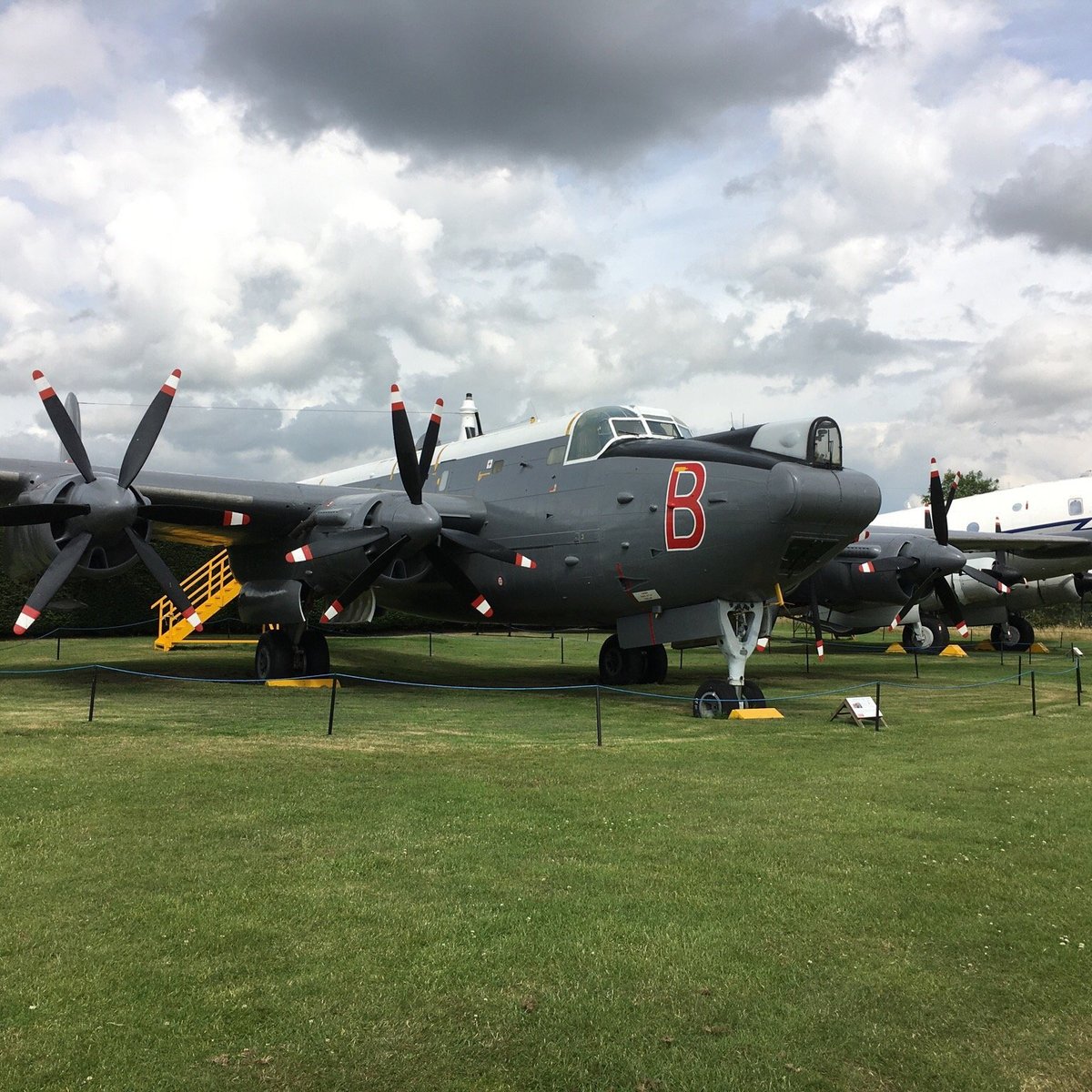 are dogs allowed at newark air museum