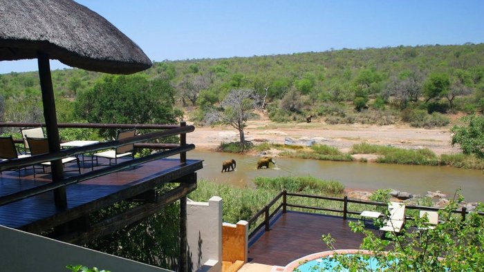 Nyati Safari Lodge Bar or Lounge: Pictures & Reviews - Tripadvisor