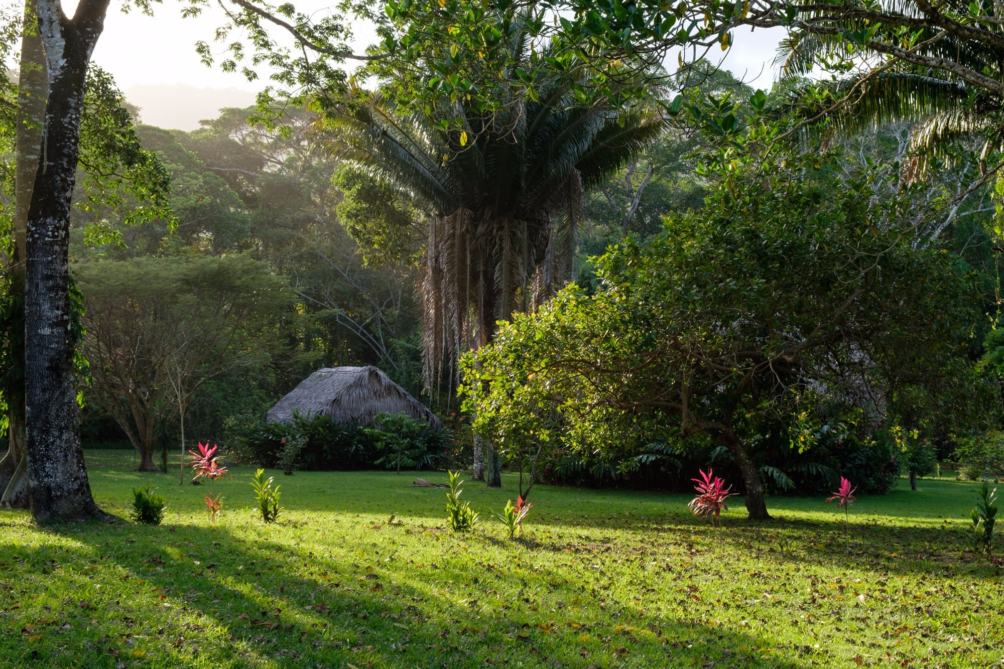 Bocawina Rainforest Resort & Adventures by null