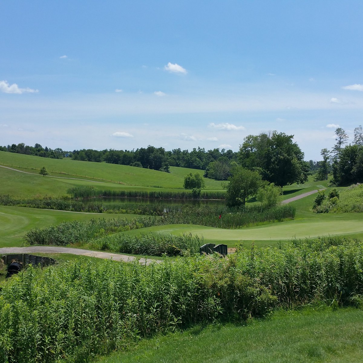 Crystal Springs Golf Club (Hopewell) All You Need to Know BEFORE You Go