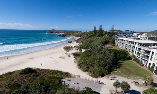 is cabarita beach dog friendly