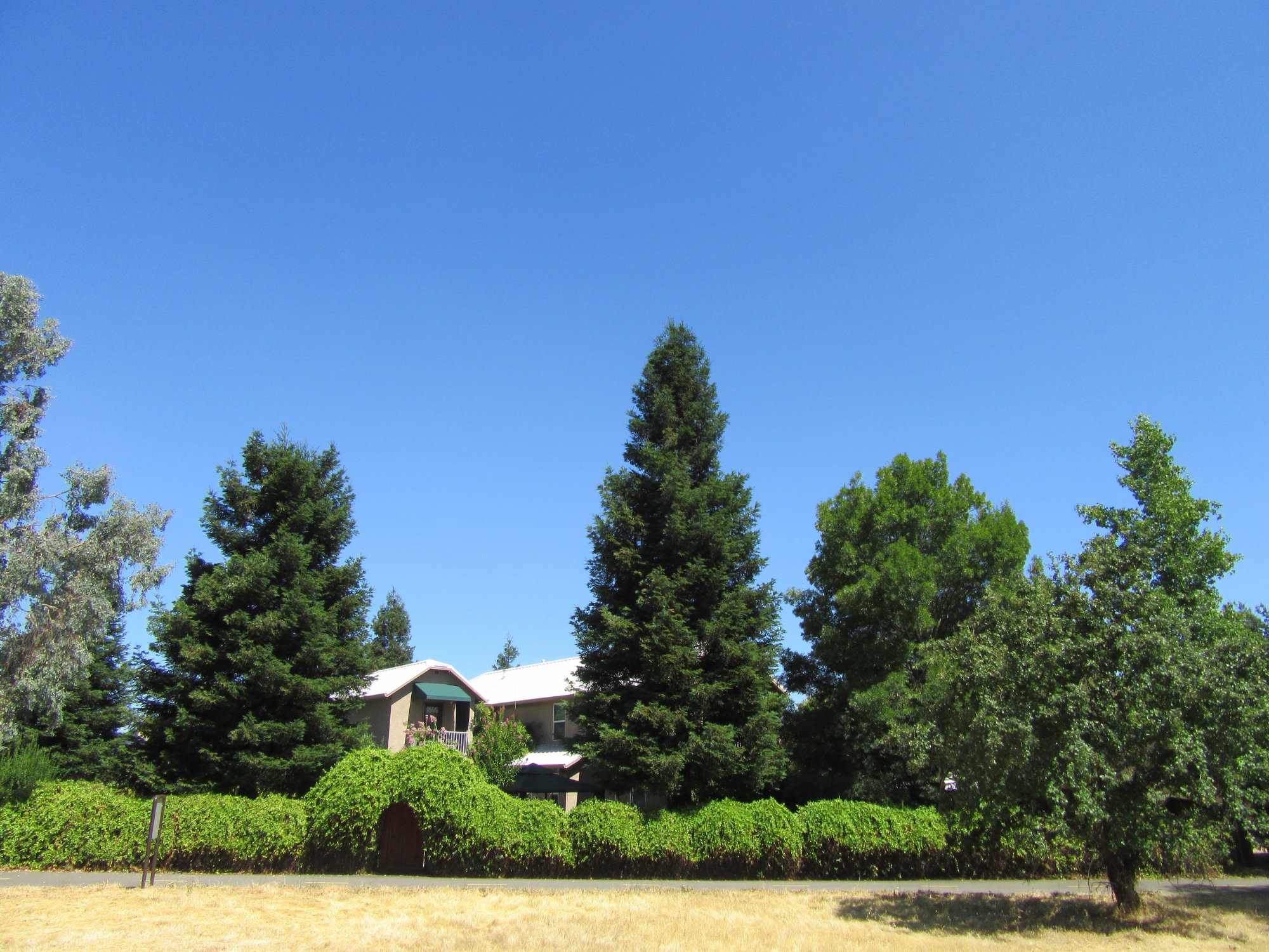 APPLES' RIVER HOUSE BED AND BREAKFAST (Redding, CA): Opiniones Y Precios