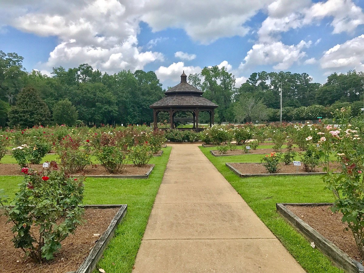 Thomasville Rose Garden - All You Need to Know BEFORE You Go