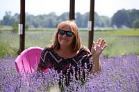 Lavender Mist Spray  Sauvie Island Lavender Farm