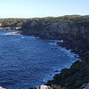 What to do and see in Jervis Bay, New South Wales: The Best Free Things to do