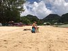Tanaphol