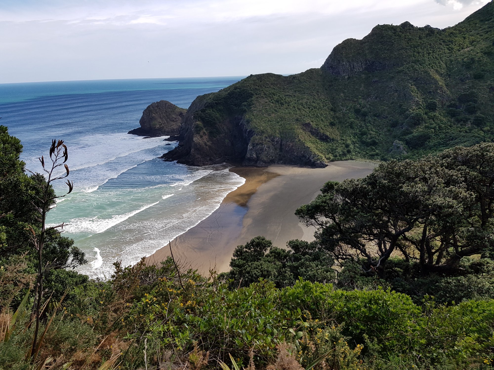 PIHA OCEAN LOOKOUT - B&B Reviews (New Zealand) - Tripadvisor