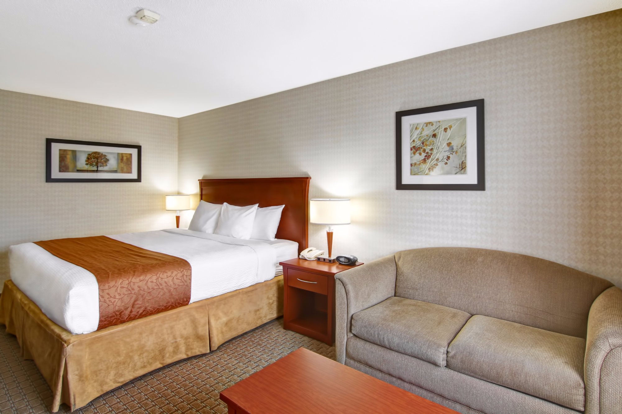 Quality Inn Kitchener UPDATED 2024 Prices Reviews Photos   Best Western Kitchener 