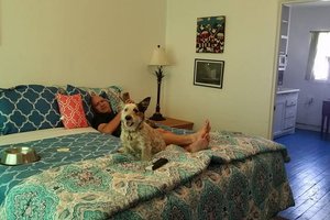 Room & Suite