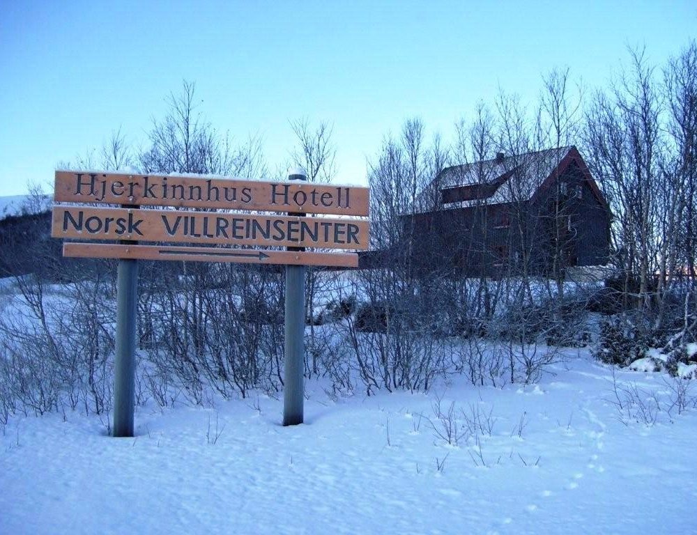 Basecamp Frich’s Hjerkinn by null