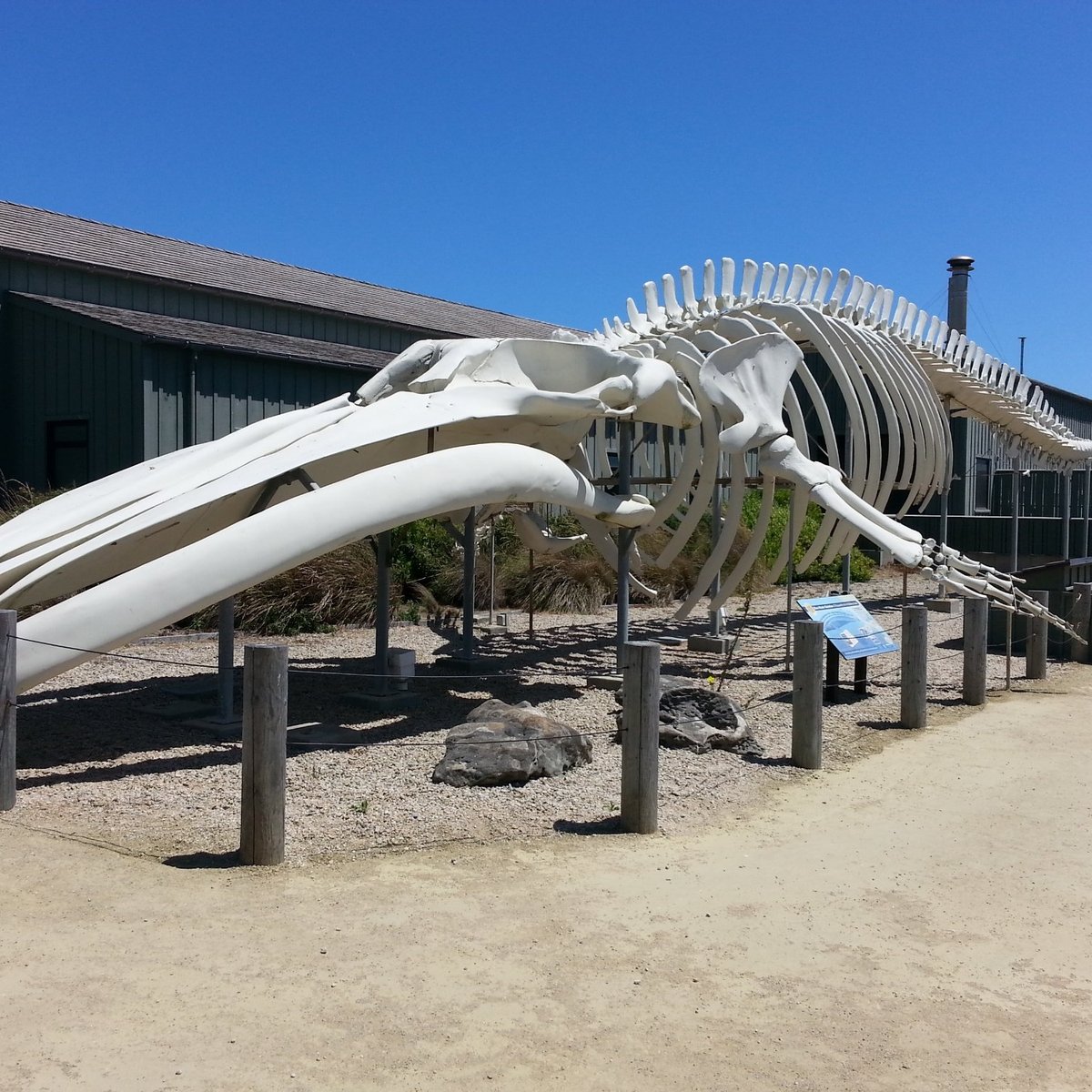 SEYMOUR MARINE DISCOVERY CENTER (2024) All You Need to Know BEFORE You ...