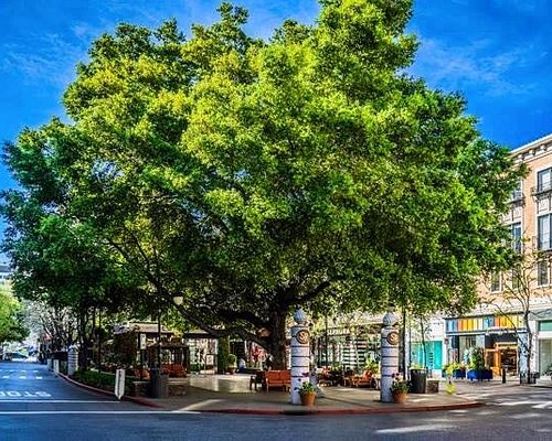 THE 5 BEST San Jose Metro Shopping Malls (Updated 2023)