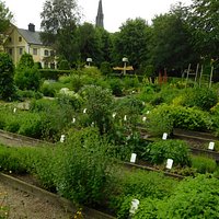 garden laid out as per Linneaus' classification system