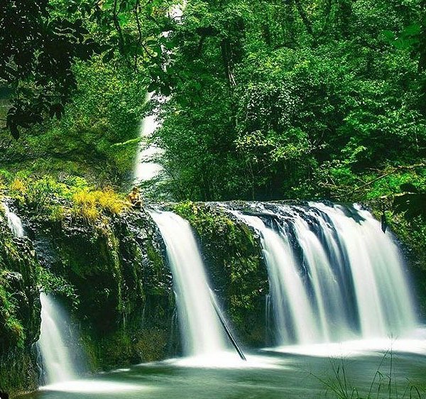 THE 10 BEST Restaurants Near Nandroya Falls (Updated 2025)