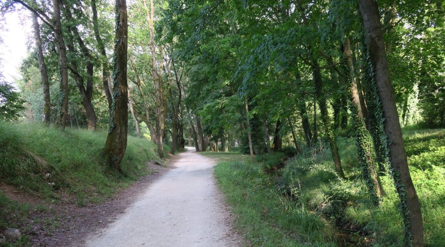 Paseo por el parque, muy cuidado y agradable 🐸