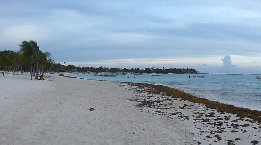 Akumal Bay