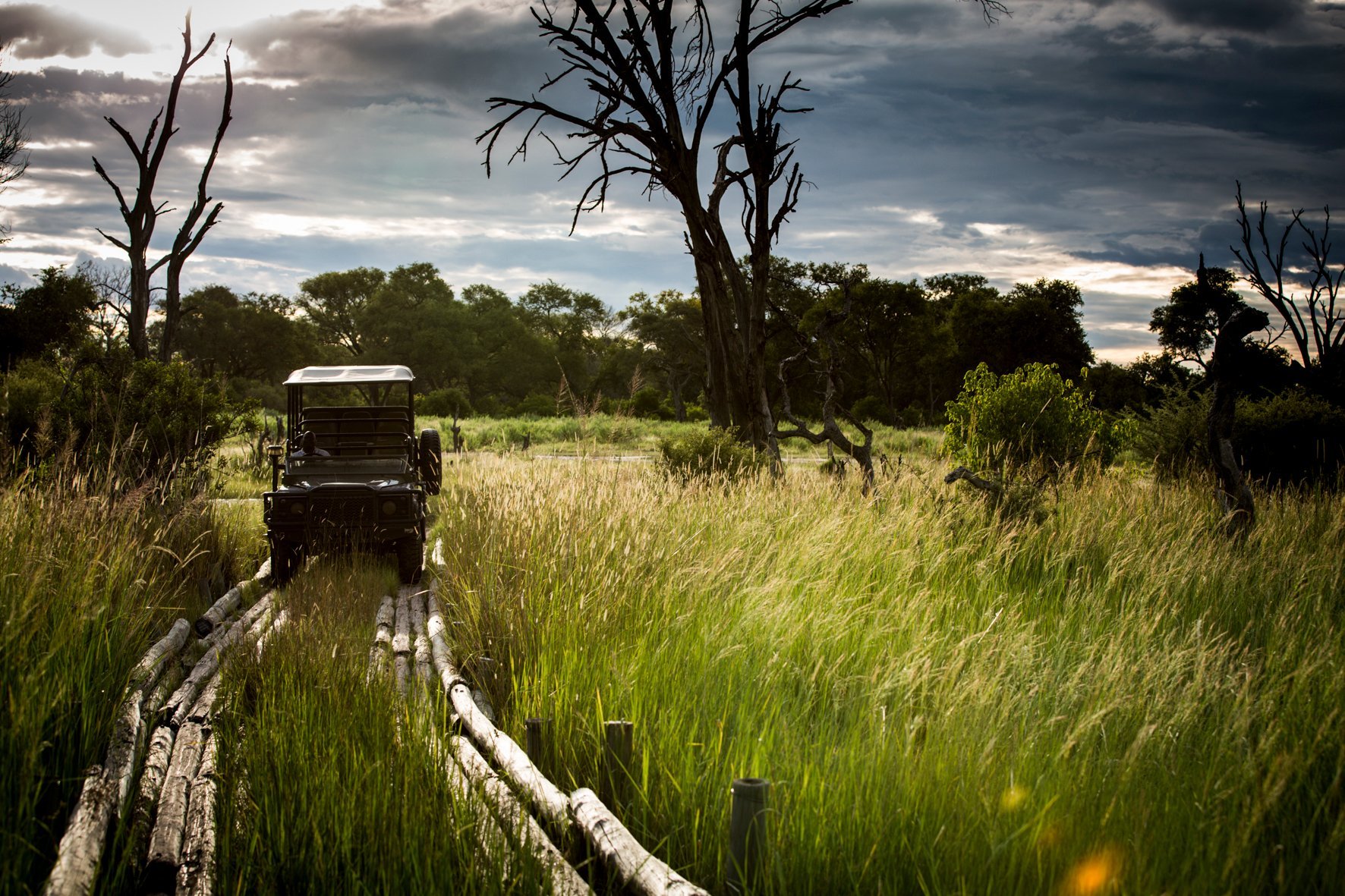Wilderness Vumbura Plains by null