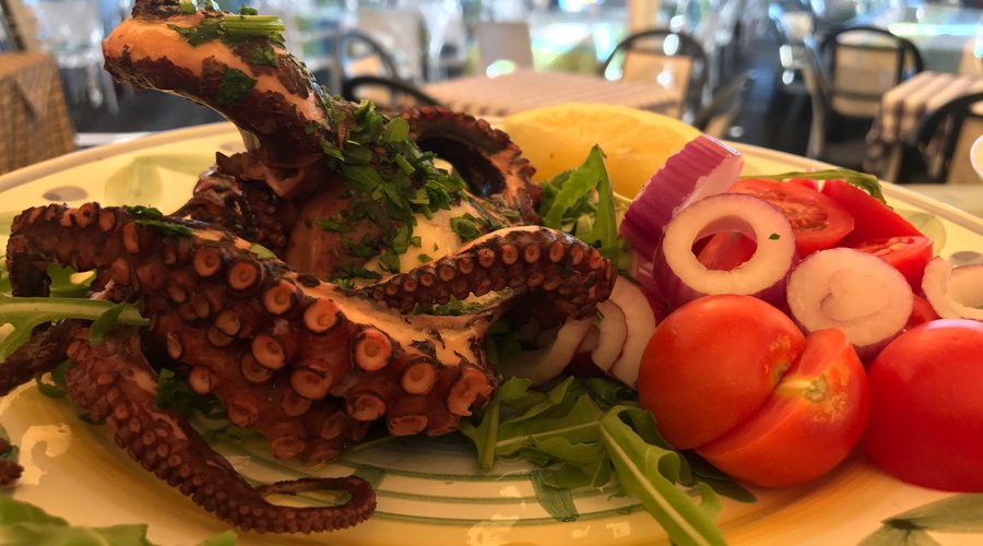 Octopuss Salad
