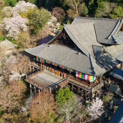 奈良県で雨の日に楽しめるイチ押しの屋内観光スポット10 選 トリップアドバイザー