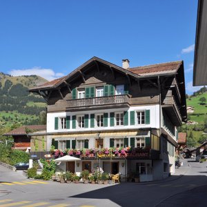 Blühender Sternen in Mitten des Dorfzentrums im Sommer.