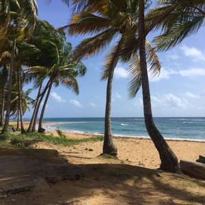 This lovely beach, generally empty in mornings, is only 15 minutes away.