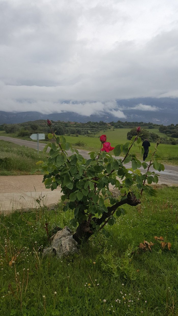 Imagen 15 de Camping Cañones de Guara y Formiga