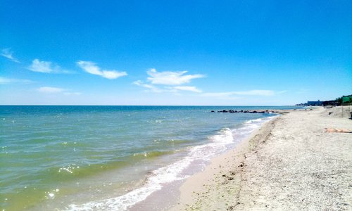 Буревесник