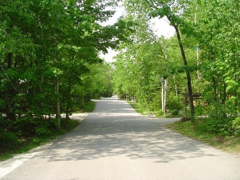 View from the main road