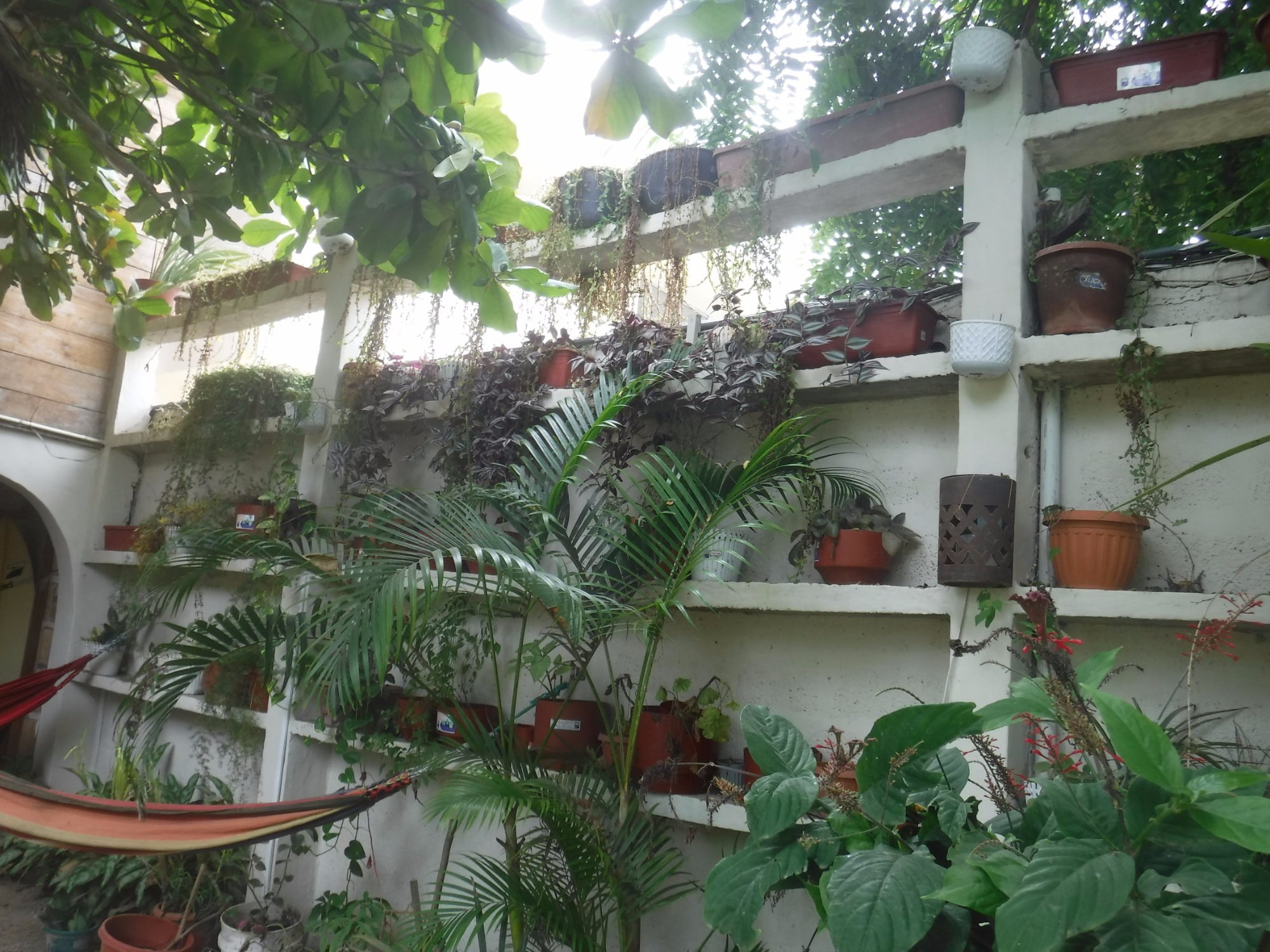 Hotel photo 10 of Hostal The Sea Garden House.