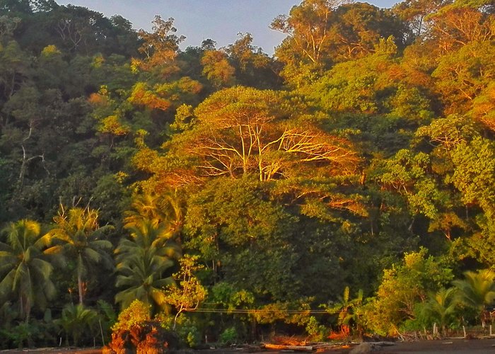 Playa El Almejal - Bahía de Solano