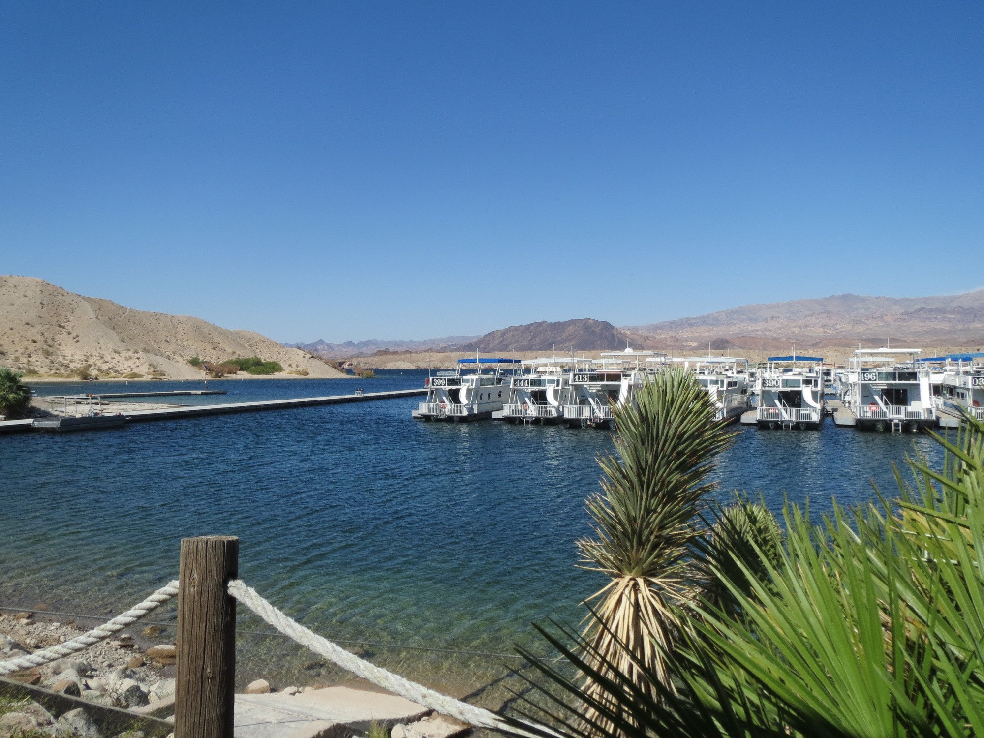 COTTONWOOD COVE RESORT & MARINA (Searchlight, NV): Opiniones Y Fotos ...