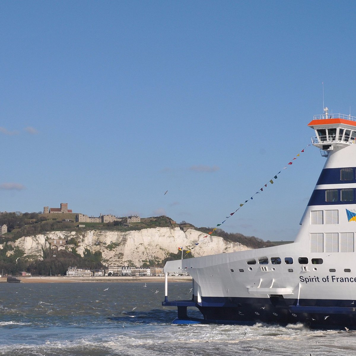 can you take dogs on dover to calais ferry