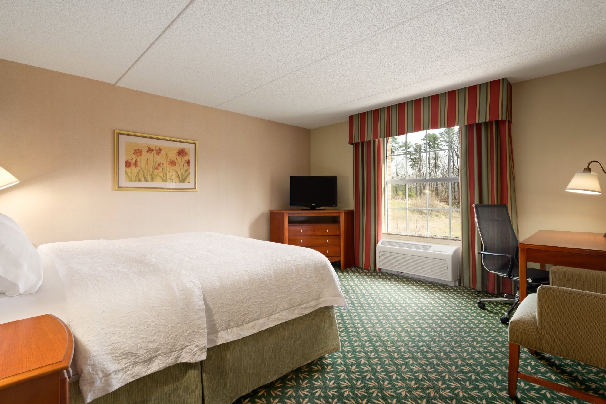 Hotel photo 12 of Hampton Inn & Suites Williamsburg-Central.